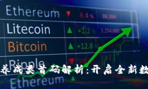区块链游戏养成类首码解析：开启全新数字资产时代