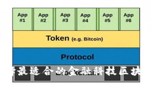 如何选择最适合的金融科技区块链导师？