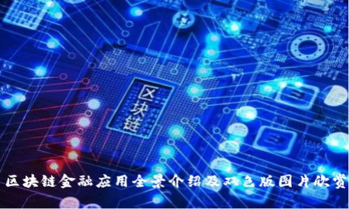区块链金融应用全景介绍及双色版图片欣赏
