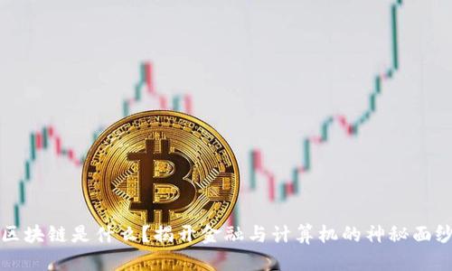 区块链是什么？揭开金融与计算机的神秘面纱