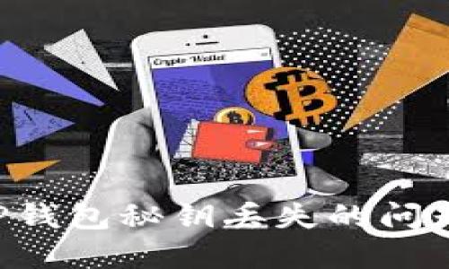 如何解决TP钱包秘钥丢失的问题：全面指南