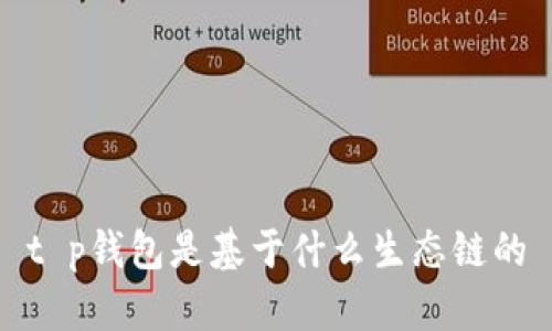 t p钱包是基于什么生态链的