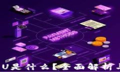 p钱包里的U是什么？全面解