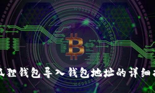 小狐狸钱包导入钱包地址的详细指南