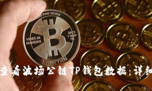 如何查看波场公链TP钱包数据：详细指南