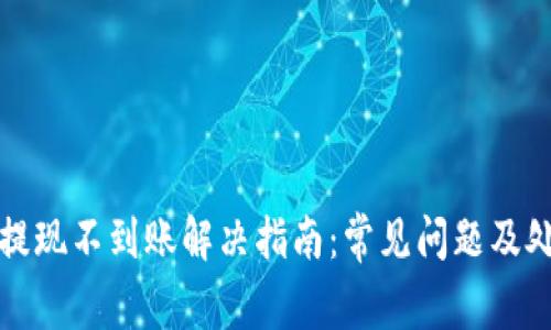 TP钱包提现不到账解决指南：常见问题及处理方法