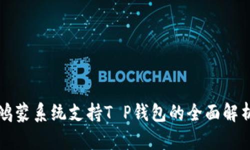 鸿蒙系统支持T P钱包的全面解析