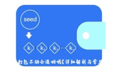 : tP钱包转币打包不动会退回吗？详细解析与常见