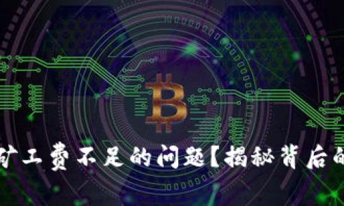 如何解决TP钱包矿工费不足的问题？揭秘背后的原因与解决方案