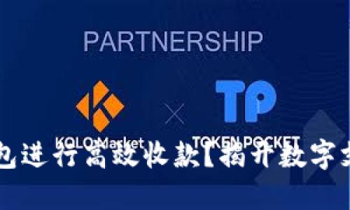 如何通过T P钱包进行高效收款？揭开数字支付的神秘面纱！