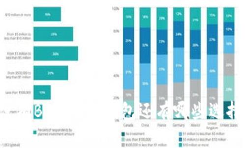没有BNB的TP钱包还有哪些选择？