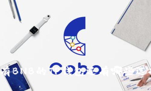 没有BNB的TP钱包还有哪些选择？