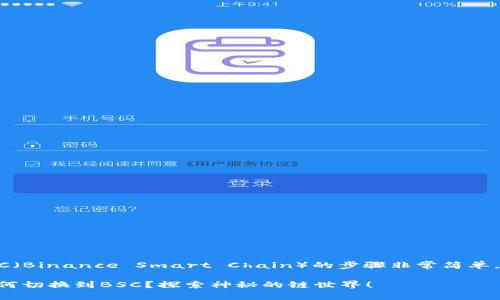 切换TP钱包至BSC（Binance Smart Chain）的步骤非常简单，下面是详细指导：

### TP钱包如何切换到BSC？探索神秘的链世界！