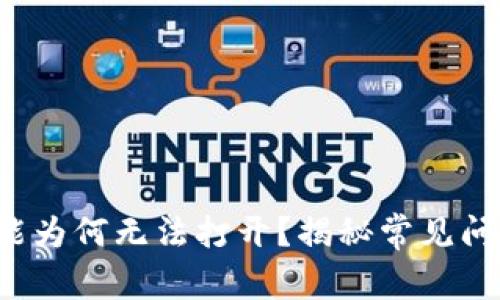 TP钱包闪兑功能为何无法打开？揭秘常见问题与解决方法！