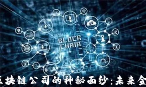 
揭开新大陆金融区块链公司的神秘面纱：未来金融的 潜力与挑战