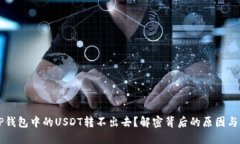 为什么TP钱包中的USDT转不