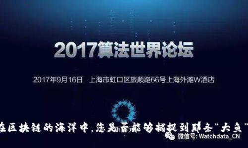 在区块链的海洋中，您是否能够捕捉到那条“大鱼”？