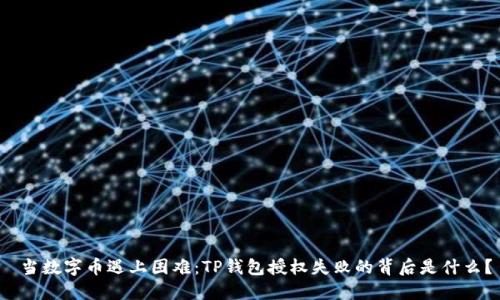  当数字币遇上困难：TP钱包授权失败的背后是什么？