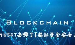 TP钱包中的USDT去哪了？揭