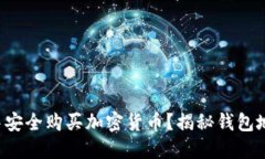 如何在TP钱包中安全购买加