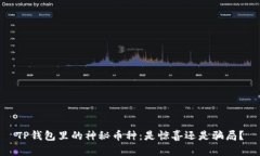 TP钱包里的神秘币种：是惊