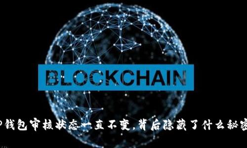 TP钱包审核状态一直不变，背后隐藏了什么秘密？