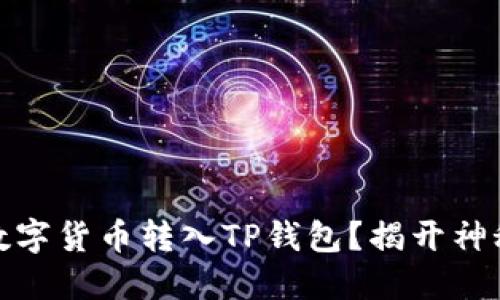 如何将数字货币转入TP钱包？揭开神秘的面纱