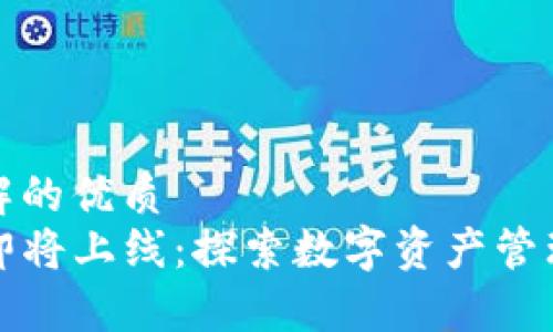 易于理解的优质
TP钱包即将上线：探索数字资产管理的未来